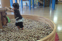 忙しくしてごめんね 2008/07/12 15:20:11
