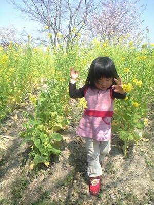 お花見