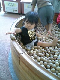 子供達の夏休み３