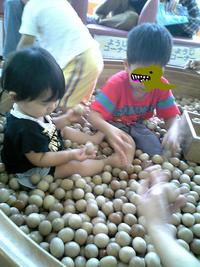子供達の夏休み３