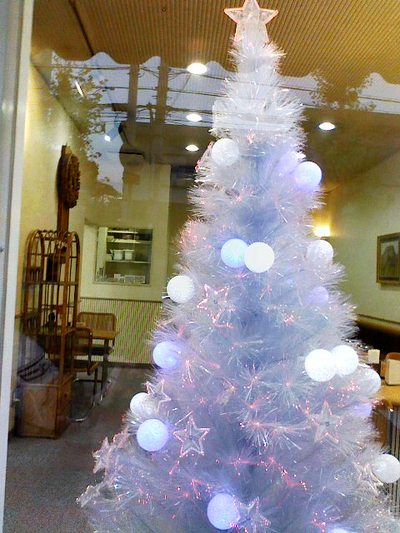 イチョウの木とクリスマス