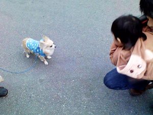 実家でのひと時