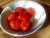 テリーさんちに行きました