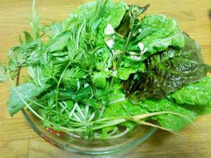 旬のお野菜