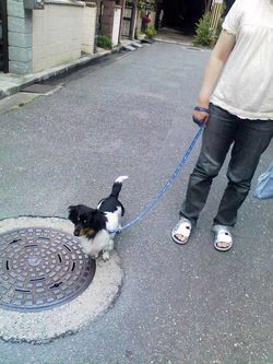 ホッとした一日
