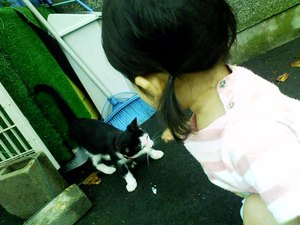 子猫ちゃ～ん