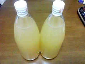 食欲の冬（笑）
