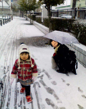 tsuboが遊びにきてくれましたよ。