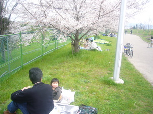 お花見