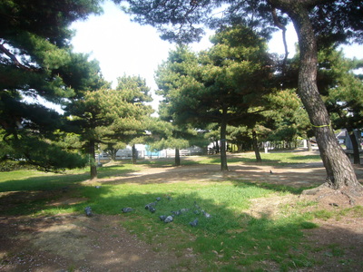 神社で・・・