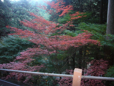 紅葉狩り