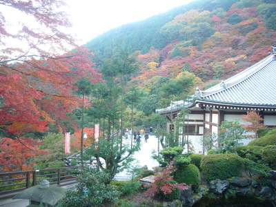 紅葉狩り