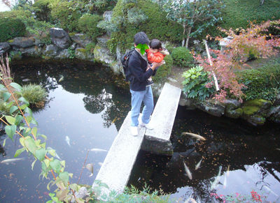 紅葉狩り