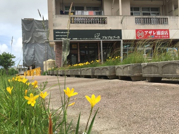 浦添んかい＜しーぶん＞