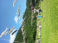 鯉のぼり祭り 2012/05/05 20:14:38