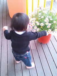暴れん坊 2012/03/25 21:39:25