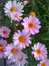 ４月のスタート♪ 2012/04/02 01:04:57