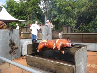 ブラジルの旅 その３ ふらーさー