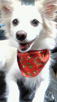 2010年12月25日