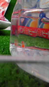 2011年04月07日