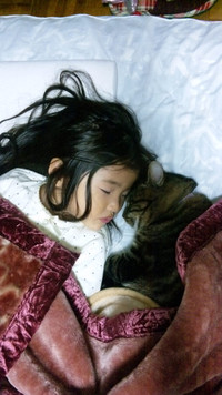 2010年11月29日