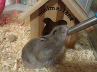 こっちも模様替え!! 2011/11/11 12:57:47