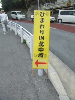 冬に咲く向日葵
