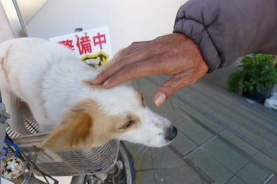 コザ「空中タウン」に行ってきました。