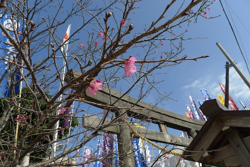 あっぱれ普天間