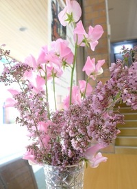 エリカの花 2011/01/19 16:35:32