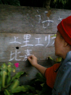 普天間の木