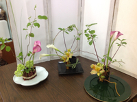 マミフラワーデザインスクール 春らんまん教室 2013/05/22 12:00:00