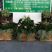 植え込みへ！！ 2015/06/13 11:35:48