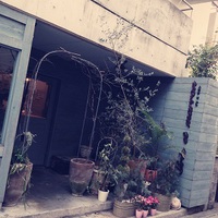 すっきり♪ 2015/04/28 17:49:27