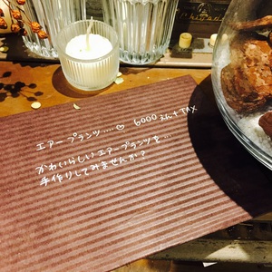 エアープランツを作ってみませんか？