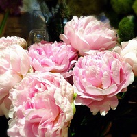 旬のお花♪ 2015/06/15 13:17:24
