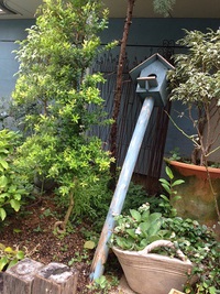 鳥の巣が…！ 2015/07/13 13:36:19