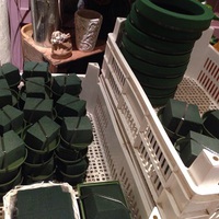 大忙し！ 2015/07/15 11:12:47