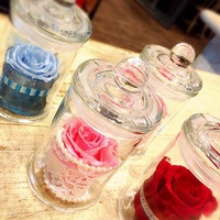 present　for you… 2015/08/17 12:55:26