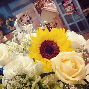 Its summer day♪