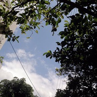 ウンケー♪ 2015/08/26 15:02:23