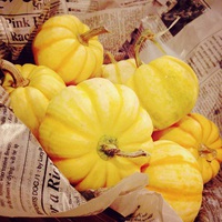 やってきたーー！ 2015/09/30 19:12:31