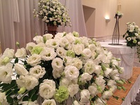 婚礼装花 2015/09/13 18:55:17
