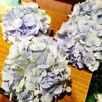 婚礼準備＊ 2015/05/22 19:42:42