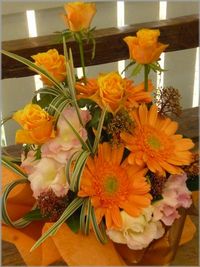 秋ですね～ 2012/10/05 16:00:51