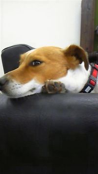 ☆活けこみ☆