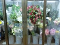 一際目立つ♪ 2012/02/18 17:59:46