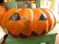 でかでかカボチャの重さ当てクイズ！ 2012/10/11 11:20:24