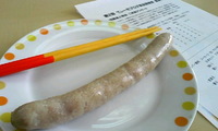 てぃーだショップ商品開発部 2008/03/08 16:09:06