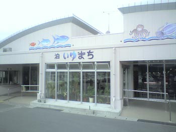 マグロ丼！